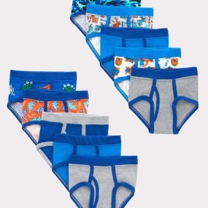 Hanes Toddler Boys' Tagless Briefs, Dinosaur Prints & Solids, 10-Pack