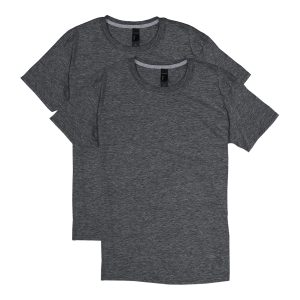 Hanes X-Temp Unisex Short Sleeve Crewneck T-Shirt, 2-Pack