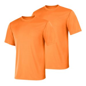 Hanes Sport Cool DRI Men's Performance T-Shirt, Value 2-Pack