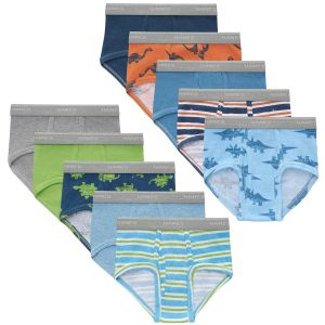 Hanes Toddler Boys' Boxer Underwear Brief, 10-Pack, Cotton