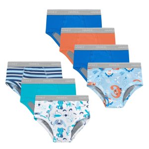 Hanes Toddler Boys' Underwear Brief Potty Trainers, 7-Pack, Light Leaks, Moisture Absorbent